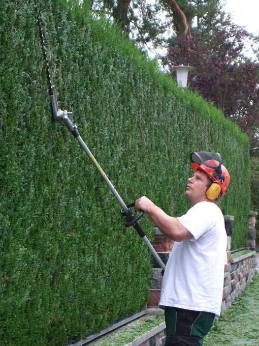 Gartenpflege – Heckenschnitt
